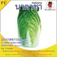 เมล็ดพันธุ์ ผักกาดขาวปลี นาตาชา บรรจุ 1 กรัม