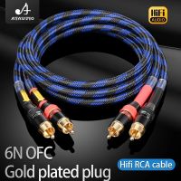 Satu Pasang Kabel RCA Hifi Hi-End Amplifier CD Interkoneksi Kualitas Tinggi 6N OFC Core 2RCA Ke 2RCA Kabel Audio Pria