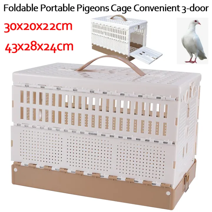 Pigeon Foldable Training Box Tbox Cage Plastic Lazada PH