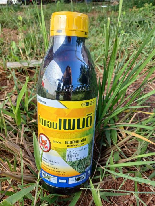 ยาคุมน้ำเหลือง-เพนดิเมทาลิน-ยาคุมหญ้าในนาข้าวยาคุมแห้ง-ในนาข้าวและพืชไร่ยาคุมหญ้า-ในนาข้าวและพืชไร่