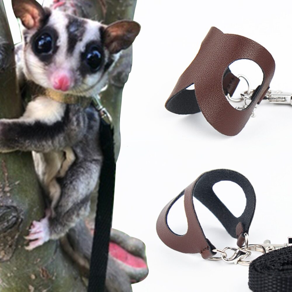 Small Animal Training Walking Vest Leash for Sugar Glider Squirrel Hamster Rat Birds Reptile 3 Pack Sugar Glider Harness and Leash Set Yellow Adjustable Traction Rope Strap Anti-Biting Chain Rope 