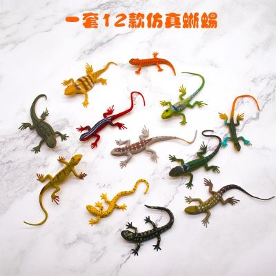 The new 12 simulation model of reptiles soft glue lizards gecko chameleon childrens cognitive toys