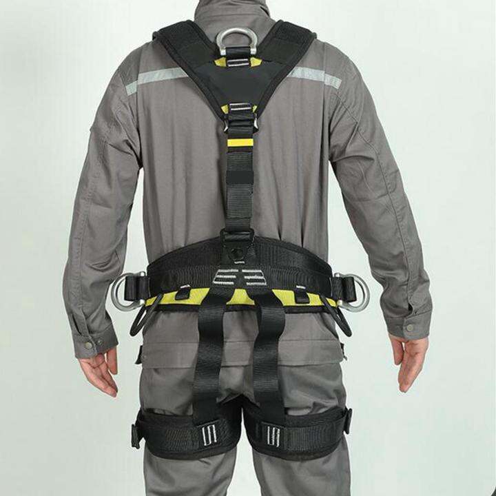 Daywolf Professional Climbing Harness Waist Belt Fall Protection for
