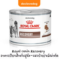 ✌Royal canin Recovery โฉมใหม่สูตรเดิม อาหารเปียกสำหรับสุนัข-แมวป่วยหลังผ่าตัด♞