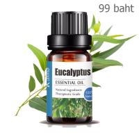 Aliztar 100% Pure Eucalyptus Essential Oil 10 มิล.น้ำมันหอมระเหยยูคาลิปตัสแท้ อโรมาเทอราพี เตาอโรมา เครื่องพ่นไอน้ำ ผสมน้ำมันนวดผิว ทำเทียนหอม ทำสเปรย์ปรั