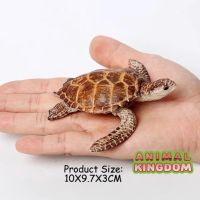 Animal Kingdom - โมเดล Turtle เต่า ทะเล แดง ขนาด 9.00 CM (จากสงขลา)