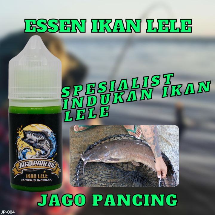 Essen Jago Pancing Th Essen Khusus Indukan Ikan Lele Paling Ampuh