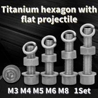 1Set TA2 Titanium Hexagon Socket Screws Pure Titanium Bolt Nut Flat Washer Spring Washer Set M3 M4 M5 M6 M8 Nails  Screws Fasteners