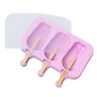 Silicone Cute Ice Cream Mold with Lid Diy Ice Cream Maker with 100x Wooden Sticks,2Pcs