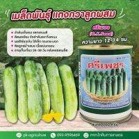 โปรแรง++ เมล็ดพันธุ์ศรีเพชร (O.K.Seed) ขนาด 100 กรัม สุดคุ้ม