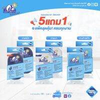 Mr.Smart Hygiene Plus มิสเตอร์ สมาร์ท แพ็คสุดคุ้ม 5 แถม 1 สำหรับงานหนัก งานเบา และฟองน้ำตาข่าย