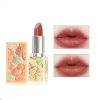 Oil Painting Flowers Velvet Lipstick Air Matte Satin Lightweight Lip Makeup Long-wearing Lip Color Hydrating Silk Cream Lipstick Drawing Painting Supp