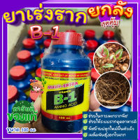 ยาเร่งราก B-1  Multi extra start ( ยกแพ็ค 24 ขวด  ) ? ยาเร่งราก น้ำยาเร่งราก บีวัน ช่วยในการแตกราชพืช กิ่งตอน ปักชำ ย้ายปลูกใหม่ ฟื้นตัวเร็ว 100 CC?