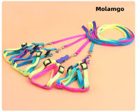 MOLAMGO Cat Colorful acodorsal Traction Rope Leash