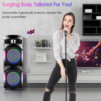 【High Quality】P-8210 Large Karaoke Machine