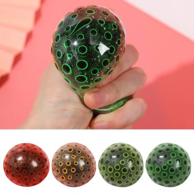 【CW】 Stress Balls to Remove Anxiety and Manage Anger for Kids Adults Sensory Anti-Pressure Dropship