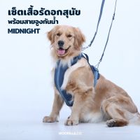 Premium Harness Walk Kit - Midnight สายจูง สายรัดอก สายจูงสุนัข สายจูงสุนัขใหญ่ สายจูงรัดอกสุนัข