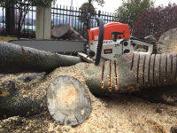 เลื่อย Lumber Cut-Off Saw WL-5200 เลื้อยโซ่ยนต์ 20นิ้ว 2 แหวน 7 แรง เลื่อยยนตัดไม้ เรื่อยยนตัดไม้ ลื่อยตัดต้นไม่