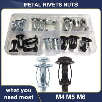 M4 M5 M6 Petal Rivets Nuts Car License Metal Screw Anchor Kit Iron Base Clamp Fixed Plate Nut and Bolt Set Riveter Gun Nails  Screws Fasteners