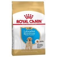 Royal Canin Labrador Junior อาหารเม็ด สูตรลูกสุนัขพันธุ์ลาบราดอร์ 12kg