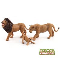 Animal Kingdom - โมเดล Lion สิงโต พ่อแม่ลูก ชุด 3 ตัว (จากสงขลา)