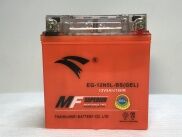Bình Ắc Quy Khô Eagle12N5L-BS Dream, Wave alpha tới 2005, Future Đầu