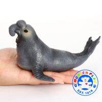 Munich Play - โมเดล Elephant Seal ช้างน้ำ  ขนาด 19.00 CM (จากหาดใหญ่)