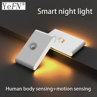 Night Light Intelligent Induction Rechargeable Side Luminous Motion Sensor Wireless Magnetic Installation LED Stair Bedside Lamp Night Lights