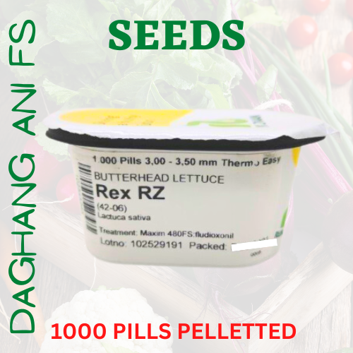 BUTTERHEAD LETTUCE REX RZ THERMO PILL 1000 PILLS PELLETTED BY RIJK