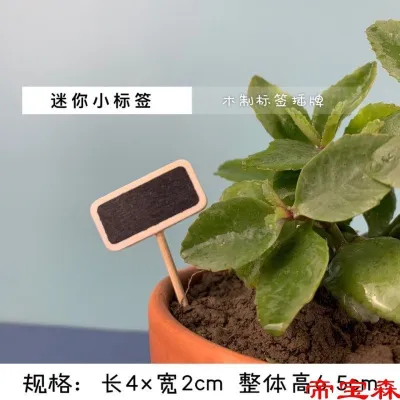 [COD] Desktop mini blackboard notice label flower plant sign road succulent name insert card