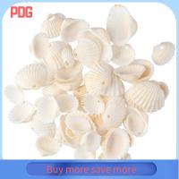 PDG 100Grams สีขาวขาว ธรรมชาติตามธรรมชาติ 9x15mm 100กรัม ลูกปัดเปลือกเกลียว ต่างหูรูปดอกไม้ เครื่องรางที่มีเสน่ห์ สร้อยคอสำหรับผู้หญิง