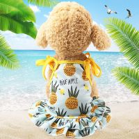 Spring And Summer New Pet Cute Dress Skirt Puppy Cat Princess Clothes Apparel  Lovely Party Apparel Cute Dress For Dogs Dresses