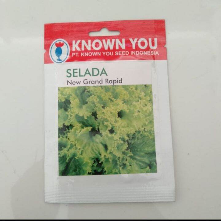 Benih Lettuce Selada New Grand Rapid (5gr) Known You Seed Sachet