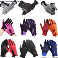 【CW】 Gloves Thermal Windproof Warm Cold Weather Hiking Ski