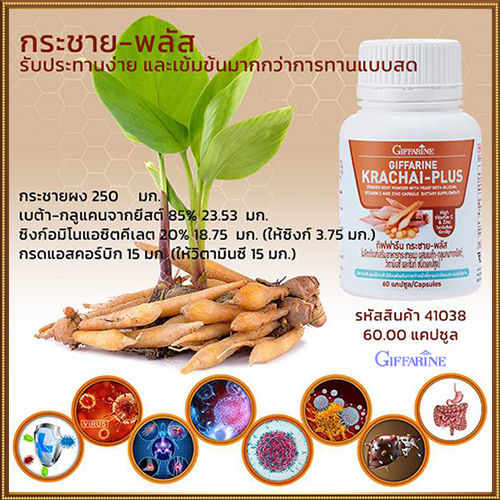 กระชายผง250มก-กิฟารีนกระชายพลัสมีประโยชน์ต่อร่างกาย-รหัส41038-จำนวน1กระปุก-60แคปซูล-ควรไปตำด่วน