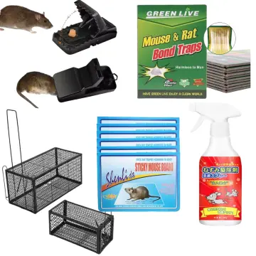 Mouse Trap Catch And Release Mouse Mice No Kill For Best Indoor/outdoor  Mousetrap Catcher Non Killer Small Capture Cage - Traps - AliExpress