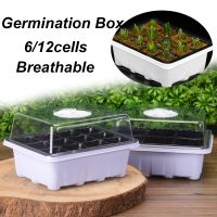 6/12Cells Plastic Planting Tray Sprout Plate Nursery Pots Seed Grow Base With Clear Cover Lids Germinating Box Garden Supplies