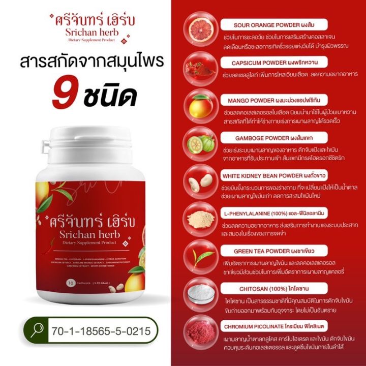 พร้อมส่ง-สูตรใหม่-ส่งฟรี-ศรีจันทร์-เฮิร์บ-แคปซูล-ศรีจันทร์สมุนไพร-srichan-herb-คุมน้ำหนัก-เผาผลาญไขมัน