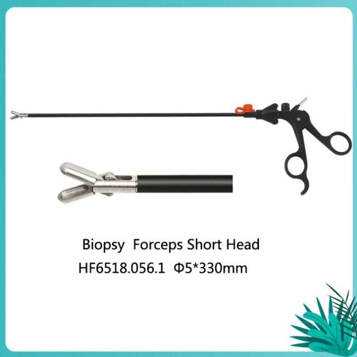 Reusable Surgical Instruments Small Biopsy Forceps Short Head Endoscopy