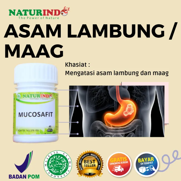 Obat Asam Lambung Kronis Dan Gerd Maag Magh Mag Mah Paling Ampuh Herbal ...