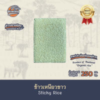 ข้าวเหนียวขาวแม่โจ้ ขนาด 250 กรัม