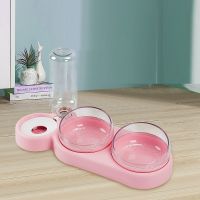 Pet Cat Bowl Automatic Food Dish Non-Slip Double Dog Cat Food Bowl With Water Fountain Raised Stand Dish Bowls For Cats