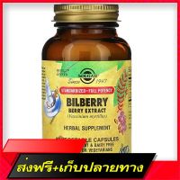 Fast and Free Shipping Solgar Bilberry Berry Extract 60 Veg Capsules Ship from Bangkok Ship from Bangkok