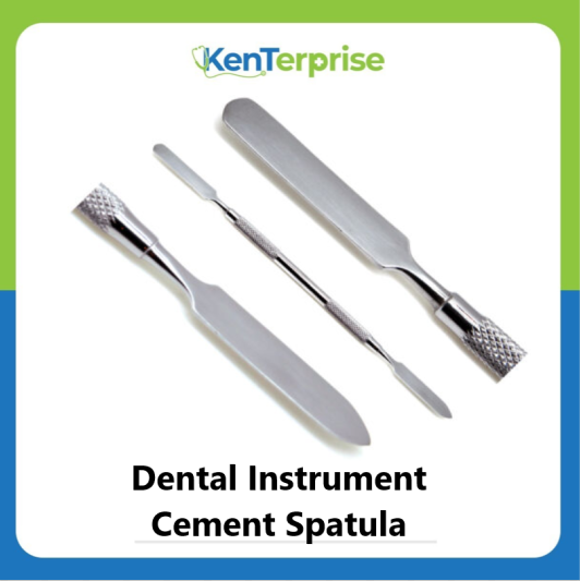 Dental Instrument (Cement Spatula) Lazada PH