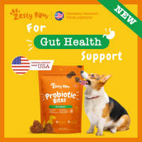 Zesty Paws Probiotic Bites Pumpkin Flavor 60 Soft Chews (EXP:12 2024)