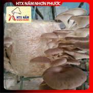 Bich phôi nấm bào ngư - HTX nấm Nhơn Phước