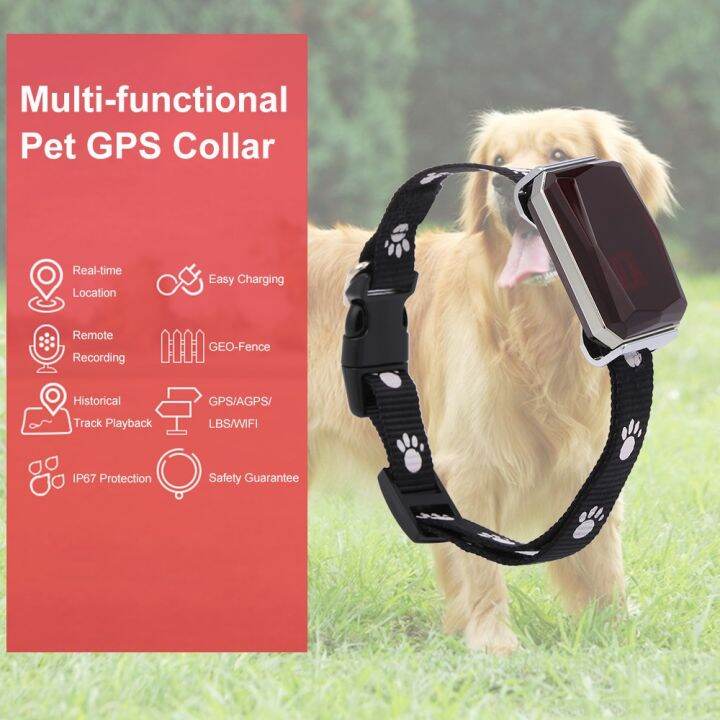 แหวนกระดิ่งติดตามแบบเรียลไทม์-accesorios-para-gatos-เครื่องติดตามสัตว์เลี้ยง-gps-agps-lbs-wifi