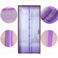 【CW】 Magnetic Net Anti Bug Fly Door Curtains Mesh Closing Sticker Curtain