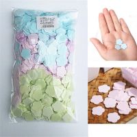 【CC】 1000pcs Sheets Flakes Washing Student Children Carry Hand Slice Toilet