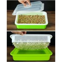 Seed Sprouter Tray BPA Free PP Soil-Free Large Capacity Healthy Wheatgrass Grower with Cover Seedling Sprout Plate Hydroponic